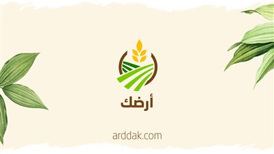 محافظ الشرقية يوجه بمنع حرق قش الأرز ومتابعة أعمال إعادة تدويره