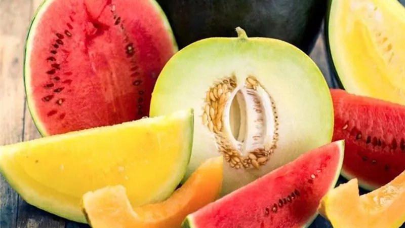 رئيس مركز المناخ: عندما يصبح الغذاء الصحي متهماً.. والترند بديلاً عن العلم