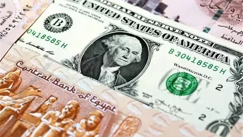 سعر الدولار اليوم ثاني أيام العيد.. استقرار الأخضر عند 52.33 جنيه للبيع بالبنوك المصرية