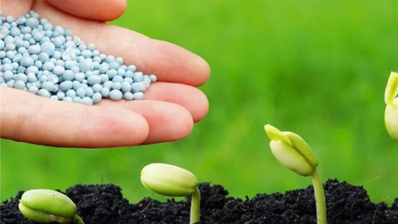 أسعار الأسمدة اليوم الأحد 3 مايو 2026 في الأسواق