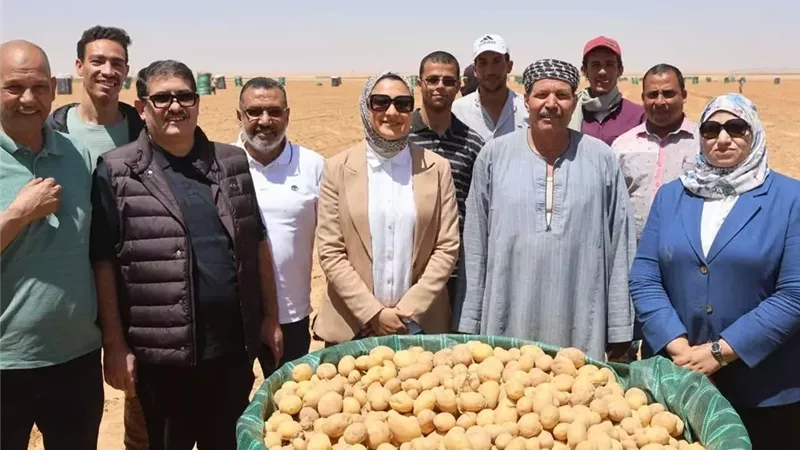 محافظ الوادي الجديد تتابع حصاد القمح والبطاطس في «بلاط» وتوجه بإنشاء منطقة لوجستية لدعم التصنيع الزراعي