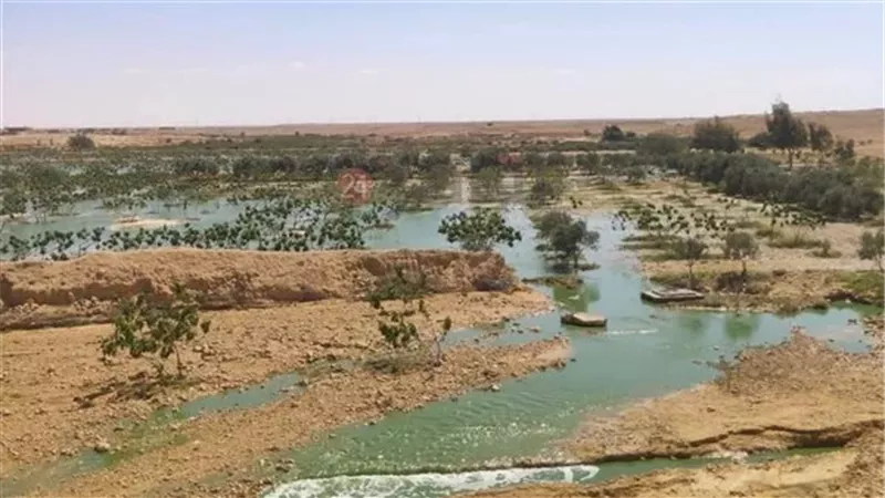 لتعويض الأهالي.. حصر الأراضي المتضررة من تسرب الصرف الصحي بمطروح