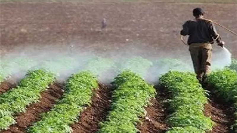 الحر بيشغل الآفات.. ليه الحشرات بتزيد في الصيف وإزاي تحمي محصولك 