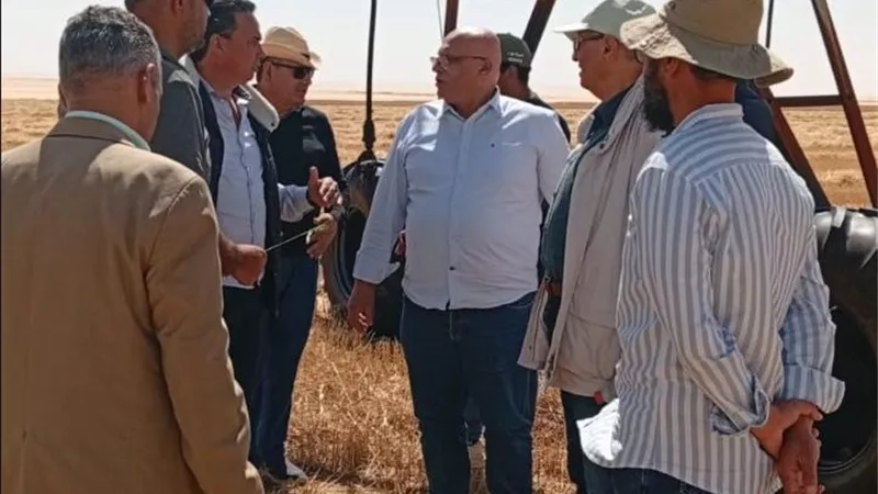 بتوجيهات من وزير الزراعة.. البحوث الزراعية يفتتح موسم حصاد المحاصيل الاستراتيجية بالفرافرة