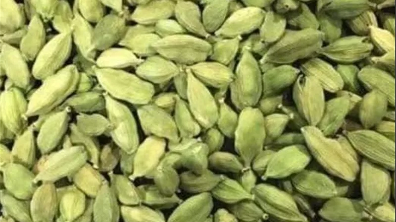الحبهان في البلكونة مش رفاهية.. ازرعه في بيتك وابدأ مشروع الذهب الأخضر