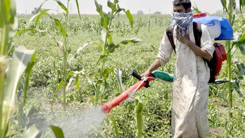  الإصلاح الزراعي يعلن وصول 70% من حصص الأسمدة للمزارعين ويعتمد آلية تحليل التربة لتحديث التوزيع