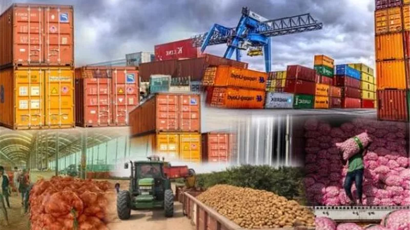 400 مليون دولار حجم سوق SOKIN يفتح فرصًا جديدة للمنتجات المصرية في الكونغو