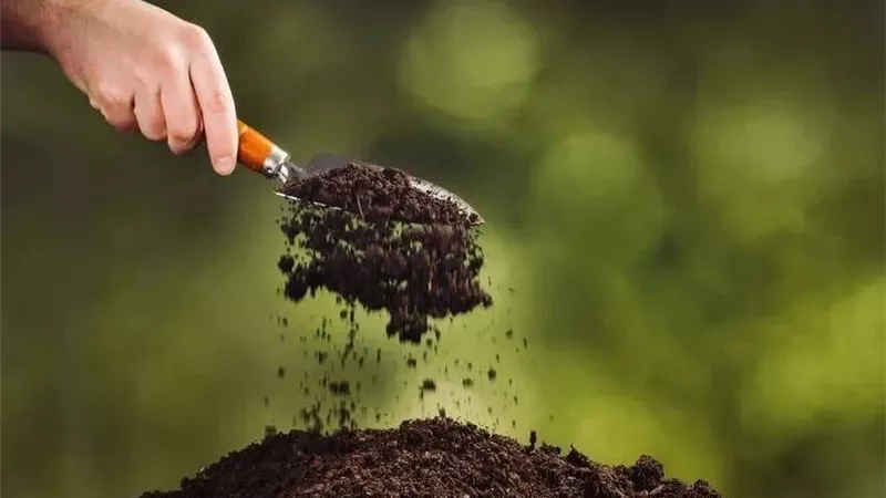 التسميد حسب عمر النبات.. احتياجات المحصول تختلف من مرحلة لأخرى