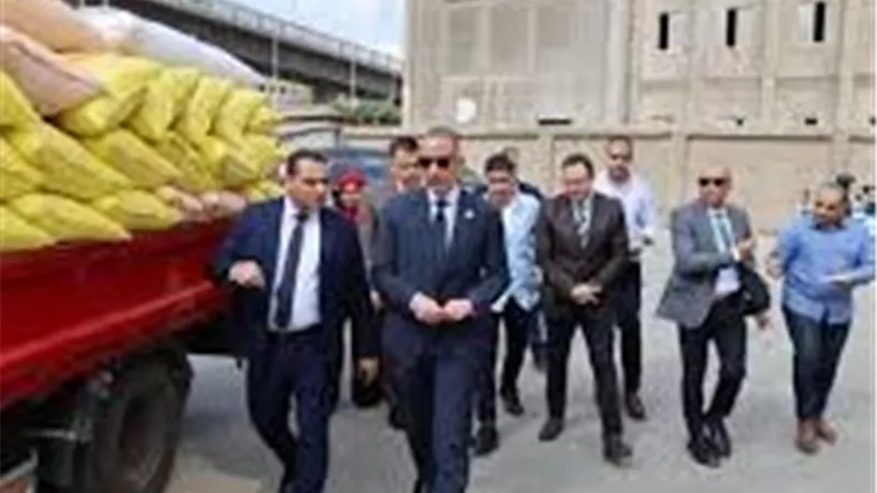 جولة ميدانية لمتابعة منظومة الأمن الغذائي بالجيزة.. المحافظ يتفقد صومعة إمبابة ويُعلن توريد 50 ألف طن قمح محلي  