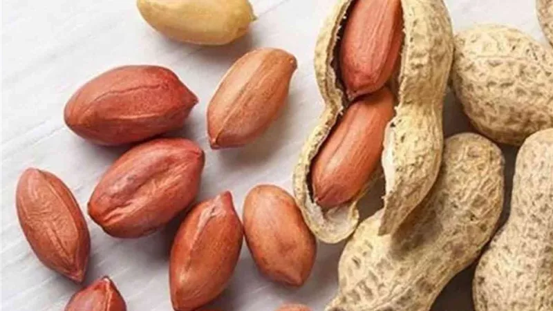132.2 مليون دولار صادرات.. الفول السوداني المصري يرسخ مكانته بين كبار المصدرين عالمياً