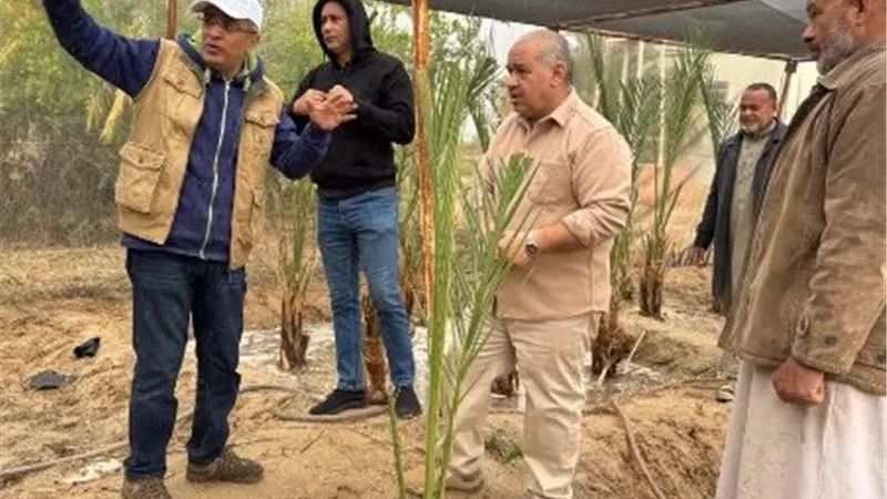 «بحوث الصحراء»  يطور خدمات دعم مزارعي سيوة والوادي الجديد لتحقيق الاكتفاء الذاتي وتحسين جودة النخيل