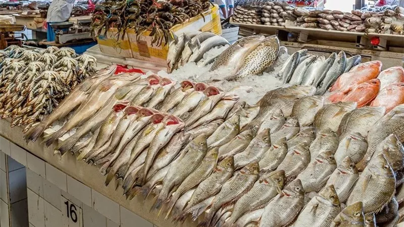 أسعار الأسماك اليوم الثلاثاء.. تراجع البلطي والجمبري والبوري والكابوريا تقفز 20 جنيهًا