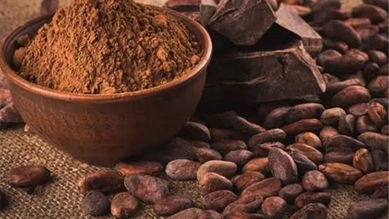 ارتفاع أسعار الكاكاو عالميًا وسط مخاوف الطقس بغرب أفريقيا وتراجع توقعات موسم 2026/2027