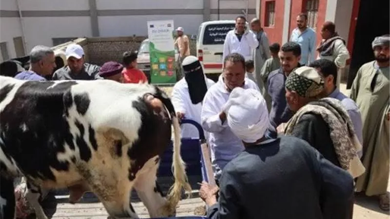 وزارة الزراعة تنظم قوافل بيطرية مجانية لدعم صغار المربين في أسيوط