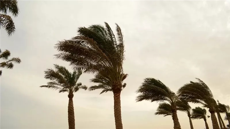 الثلث المشاغب يضرب الزراعة.. هل تقلبات الربيع تهدد المحاصيل الزراعية؟