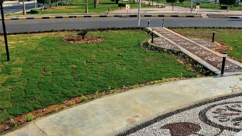 مدينة الشروق ترفع قيمتها الاستثمارية بزراعة 6000 شجرة و100 نخلة في مشروع تطوير شامل