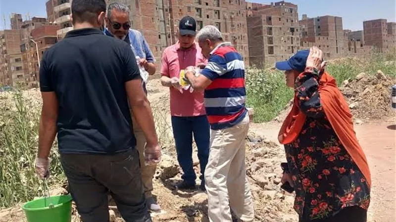 زراعة الجيزة تبدأ تعبئة طعوم مكافحة القوارض لحماية المحاصيل الاستراتيجية وتعزيز الأمن الغذائي