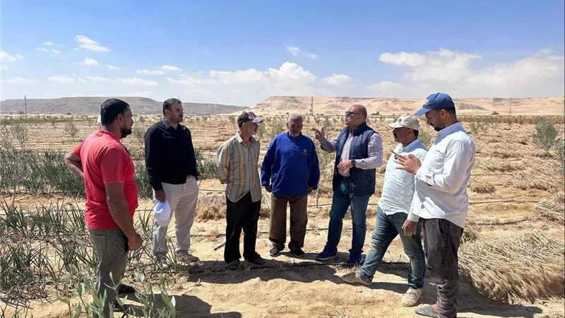 “بحوث الصحراء