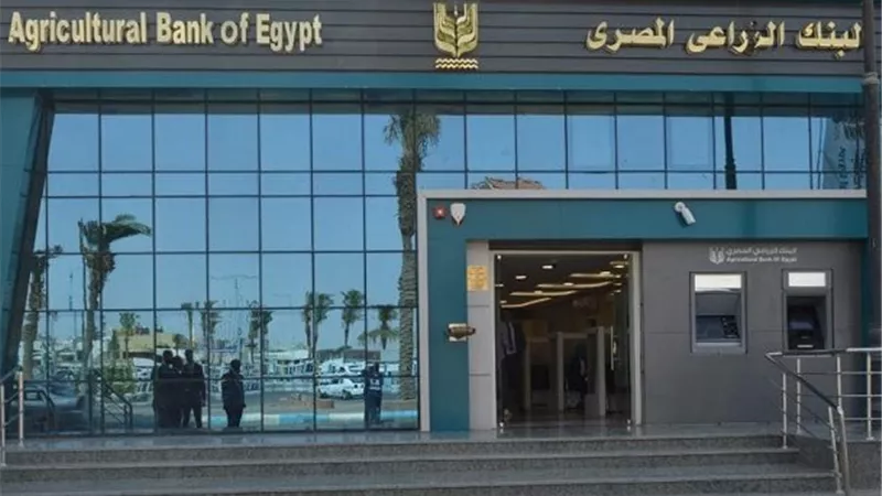 البنك الزراعي يطلق مبادرة تمويلية لدعم الشركات الصناعية بفائدة 8%..تفاصيل
