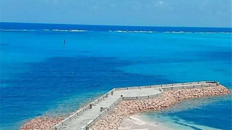 وزير الري يقود خطة لحماية سواحل الإسكندرية ودمياط ومطروح وكفر الشيخ