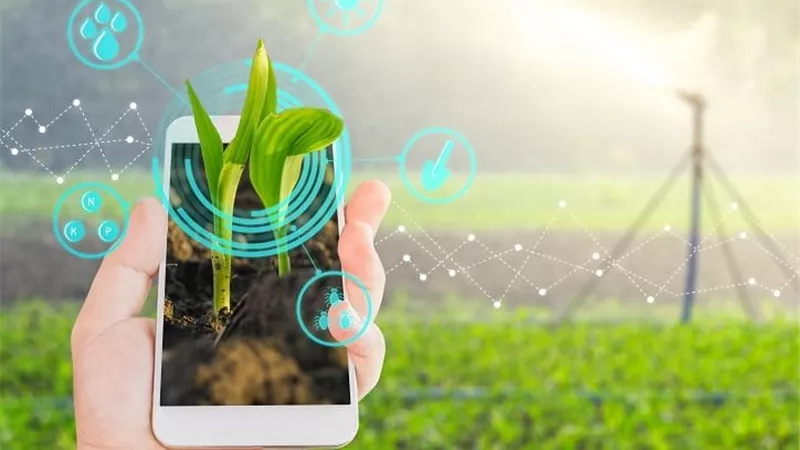 المزارع الرقمية.. مستقبل الزراعة يبدأ من “إدارة الحقل بالموبايل