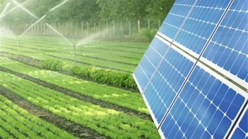 بتمويل يصل إلى 80% وسداد حتى 5 سنوات.. البنك الزراعي يدعم التحول للري بالطاقة الشمسية