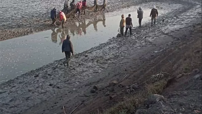 مزرعة برسيق السمكية تواصل تعزيز الإنتاج.. و70 طنًا حصيلة أحدث أعمال الصيد