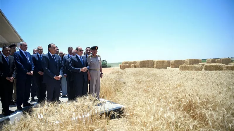 برلماني: مشروع الدلتا الجديدة خطوة استراتيجية لتعزيز الأمن الغذائي والتنمية الذكية