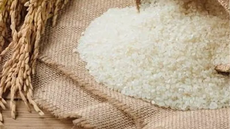 الأرز يفاجئ الأسواق.. 1000 جنيه زيادة في أسبوع رغم وفرة المحصول