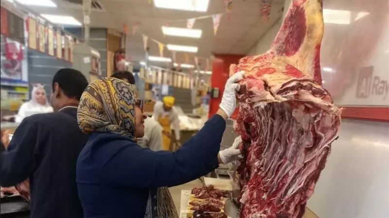 طوارئ بوزارة الزراعة.. تكثيف حملات الرقابة والتفتيش على أسواق اللحوم استعدادًا لعيد الأضحى