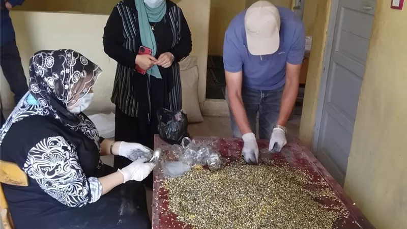 حملات رقابية موسعة على الجمعيات الزراعية بمحافظة كفر الشيخ