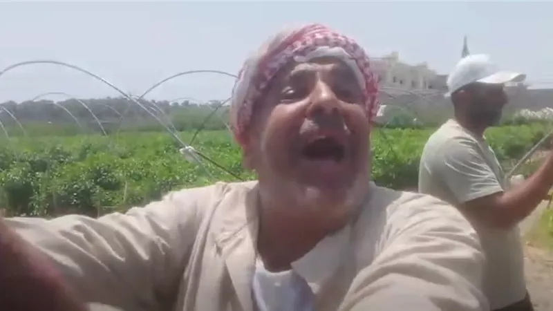 تحرك عاجل من وزارة الزراعة لفحص شكاوى مزارعي البطيخ في كفر الشيخ