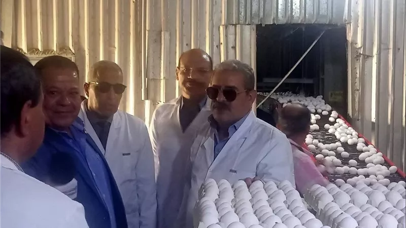 بتكليف من فاروق.. 