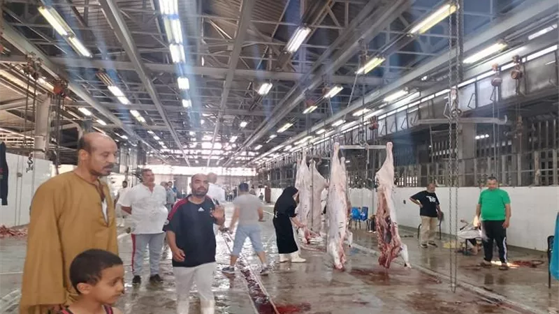 الخدمات البيطرية تعلن وقف الإجازات بالمجازر والوحدات البيطرية في العيد