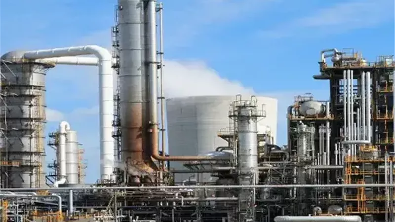 مشروعات الزراعة والطاقة العملاقة.. مظلة مصر لتحقيق الأمن الغذائي والتنمية المستدامة