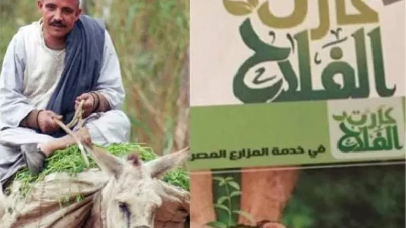 خطوة بخطوة.. كيف يصرف المزارع الأسمدة المدعمة بالدفع الإلكتروني؟