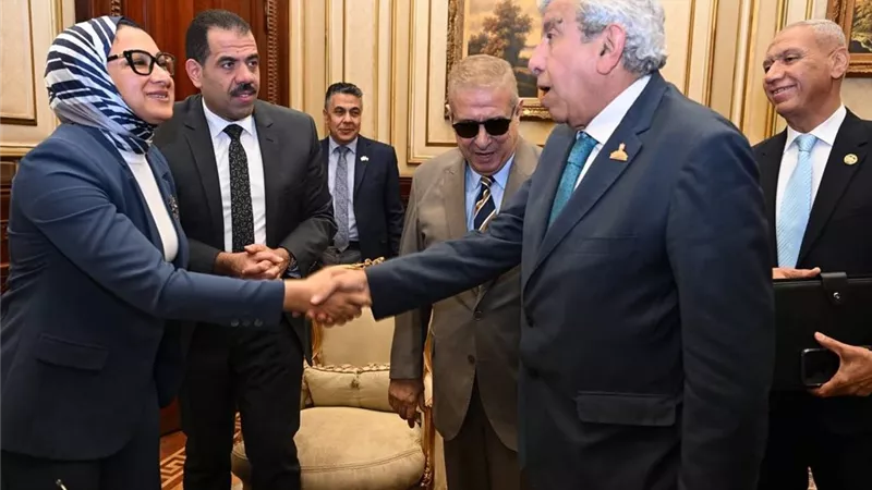 محافظ الوادي الجديد تستعرض بمجلس الشيوخ استراتيجية الاستثمار الزراعي والطاقة النظيفة