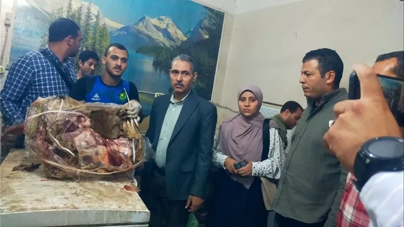 ضبط 3 أطنان لحوم وفراخ وأسماك غير صالحة للاستهلاك داخل مخزن غير مرخص بمنفلوط