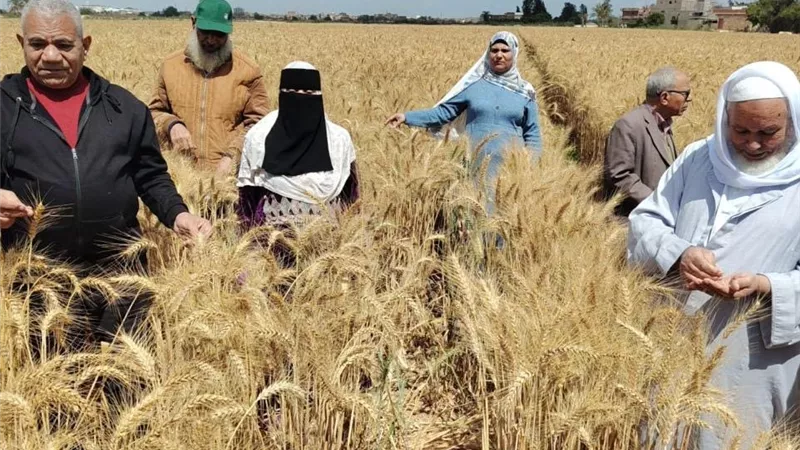 الزراعة تستعرض جهود استصلاح الأراضي خلال مايو.. تطهير المساقي والمصارف وإزالة التعديات ودعم المحاصيل