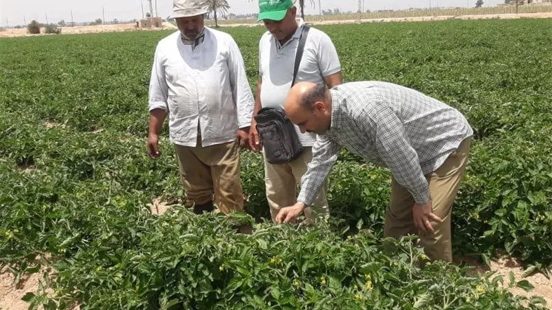 جهود وأنشطة معاهد ومعامل مركز البحوث الزراعية خلال الأسبوع الثالث من مايو