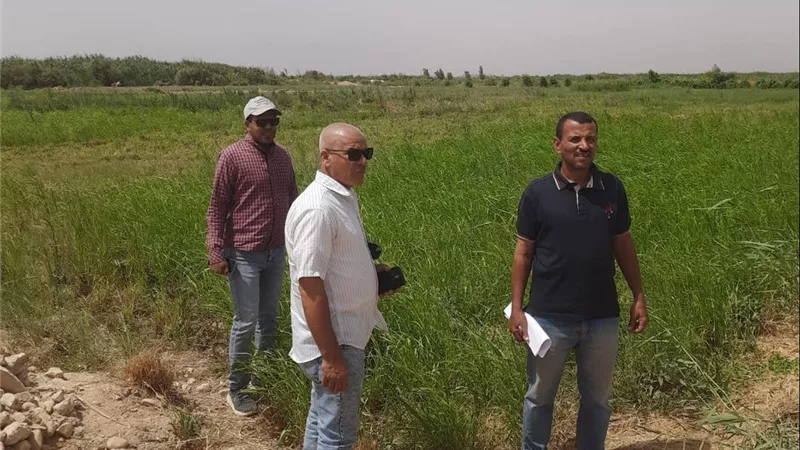 لضمان السلامة الغذائية.. محافظة سوهاج تنفي زراعة خضراوات على مياه الصرف الصحي بـ 