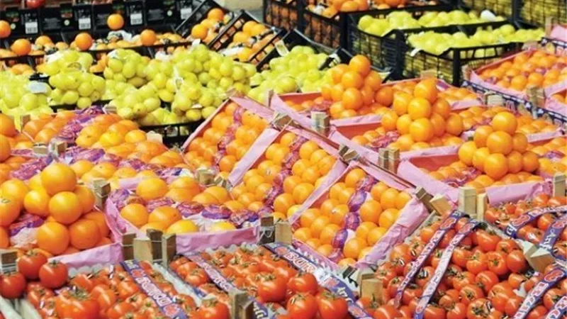 وزير الزراعة يعلن تحقيق الصادرات الزراعية المصرية 6.8 مليون طن حتى الآن