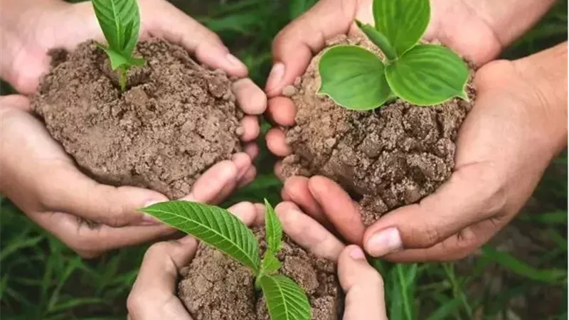 تحليل التربة قبل الزراعة.. الخطوة الذهبية لزيادة الإنتاج وتقليل خسائر السماد