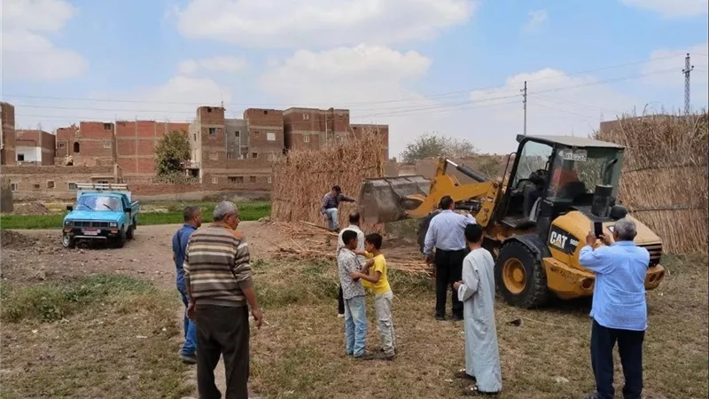 في وقفة عيد الأضحى.. “الزراعة” ترفع حالة الطوارئ لحماية الأراضي الزراعية بـ11 محافظة