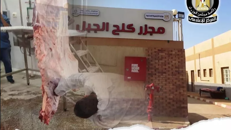 “التنمية المحلية” تُشغّل تجريبيًا مجزر “كلح الجبل” بإدفو.. طاقة 20 رأسًا للساعة وتطوير شامل بأحدث النظم