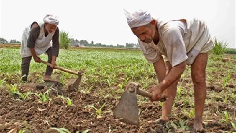تنقية الحيازات الزراعية وتحديث بيانات الأراضي بالجمهورية حتى 16 أكتوبر المقبل