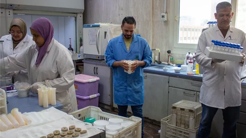 الزراعة: فحص أكثر من 2500 عينة متبقيات مبيدات خلال إجازة عيد الأضحى 