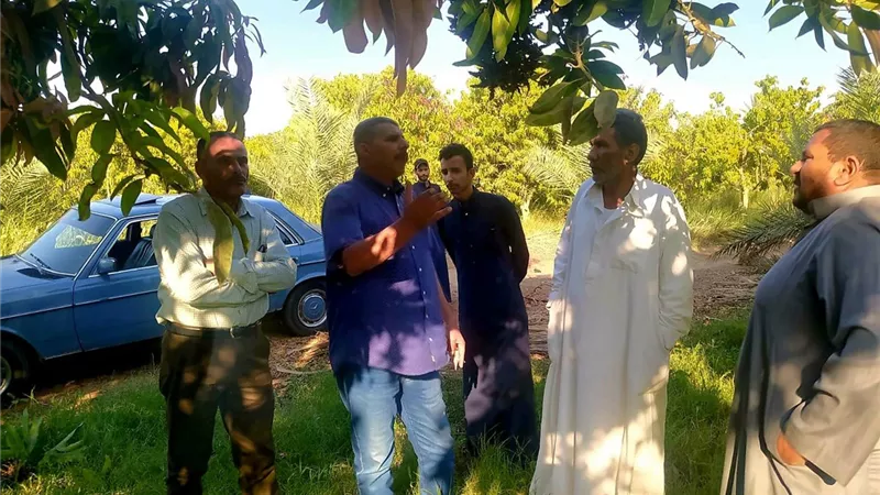 وكيل زراعة الإسماعيلية يتفقد محاصيل فايد ويشدد على المتابعة الميدانية