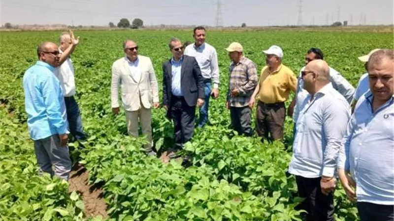 جهود لتعزيز الأمن الغذائي.. 