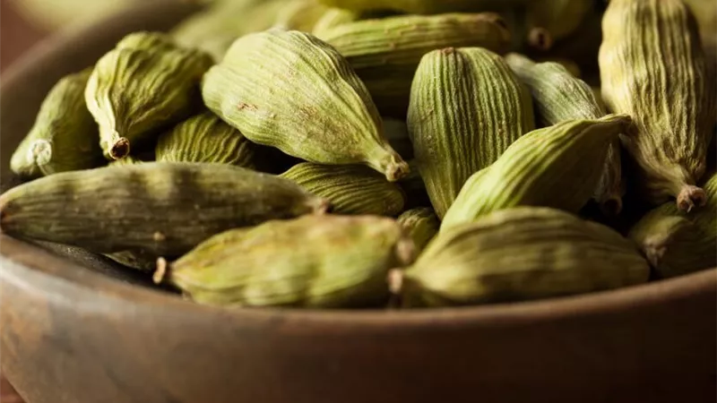 الهيل الغالي تقدر تزرعه في بيتك ببلاش.. خطوات سهلة لزراعة الحبهان وإنتاجه منزليًا